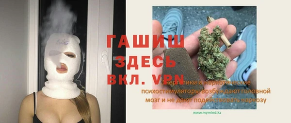 ГАЛЛЮЦИНОГЕННЫЕ ГРИБЫ Горно-Алтайск