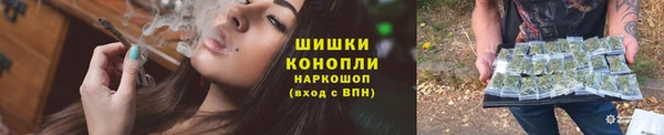 стафф Вязьма