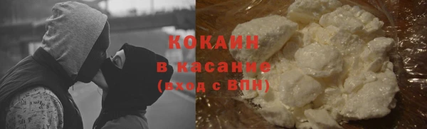 стафф Вязьма