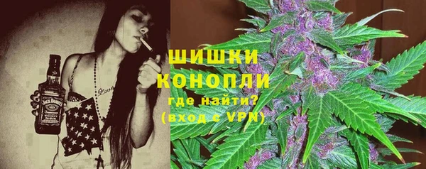 стафф Вязьма