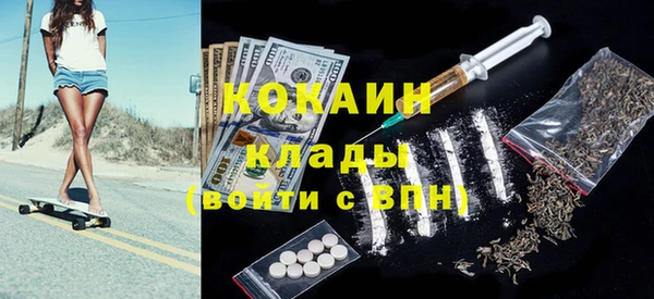 стафф Вязьма