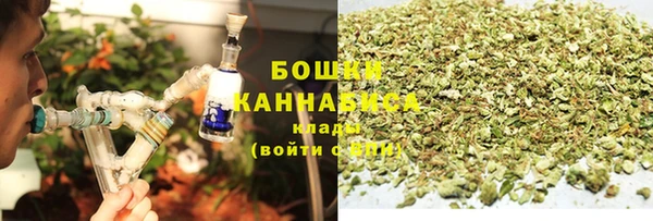 ГАЛЛЮЦИНОГЕННЫЕ ГРИБЫ Горно-Алтайск