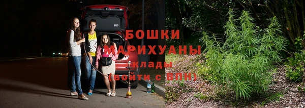 стафф Вязьма
